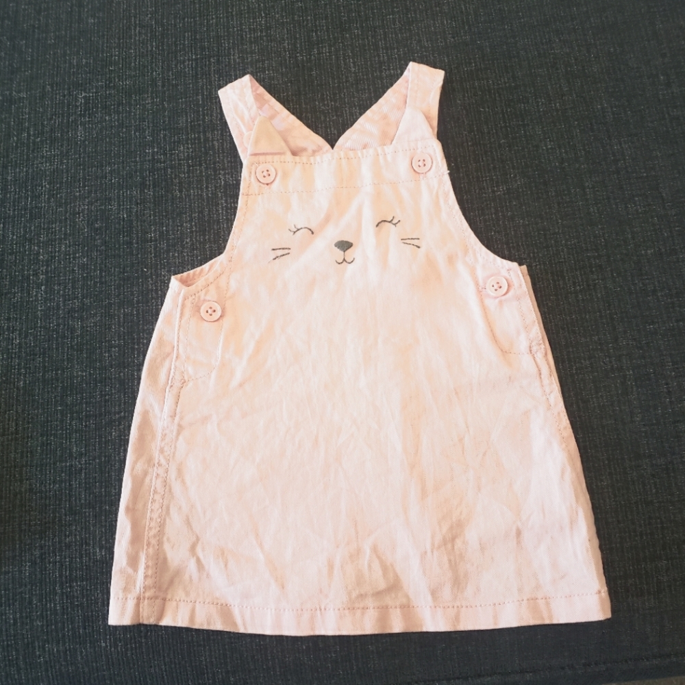 Cat jumper